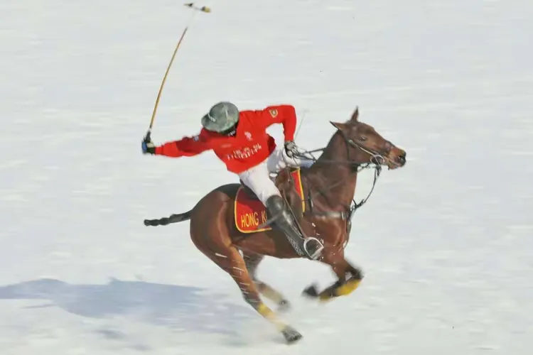 大洲杯冠军赛上举行紧张激战 大洲杯冠军赛上举行紧张激战